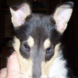 Meet your Posher, Aredhel